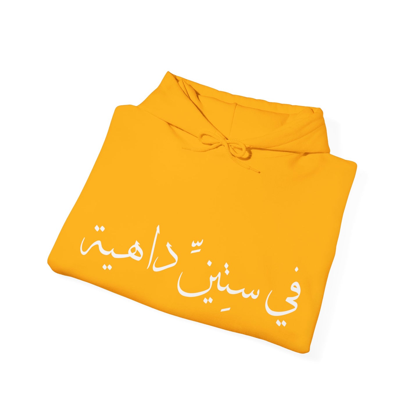 في ستين داهية | Go To Hell! | Unisex Premium Pullover Hoodie